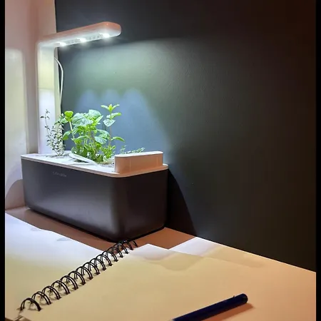Apartment Eco-confort Proche Du Centre Liege