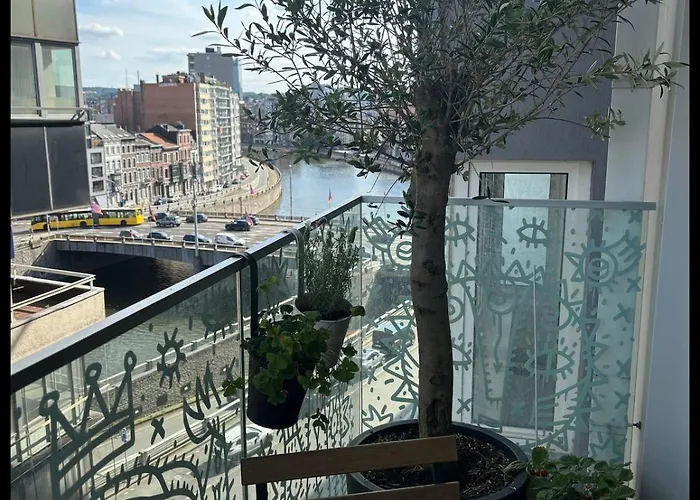 Eco-confort Proche Du Centre 公寓 *